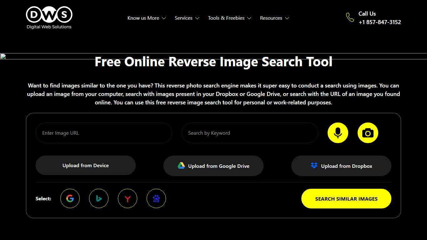Free Online Reverse Image Search Tool - DWS